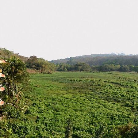 Jungle Palace Homestay Thekkady Exterior foto