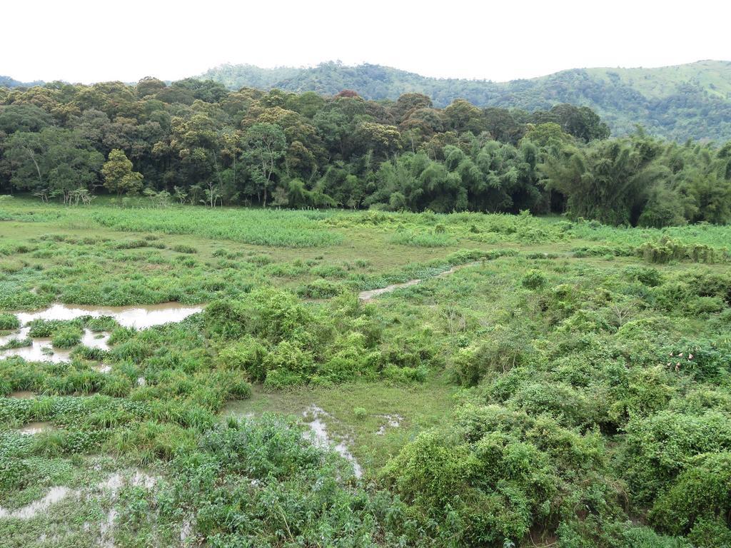 Jungle Palace Homestay Thekkady Exterior foto