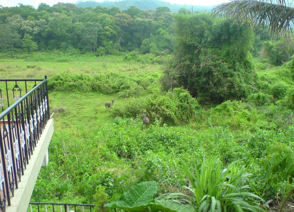 Jungle Palace Homestay Thekkady Exterior foto